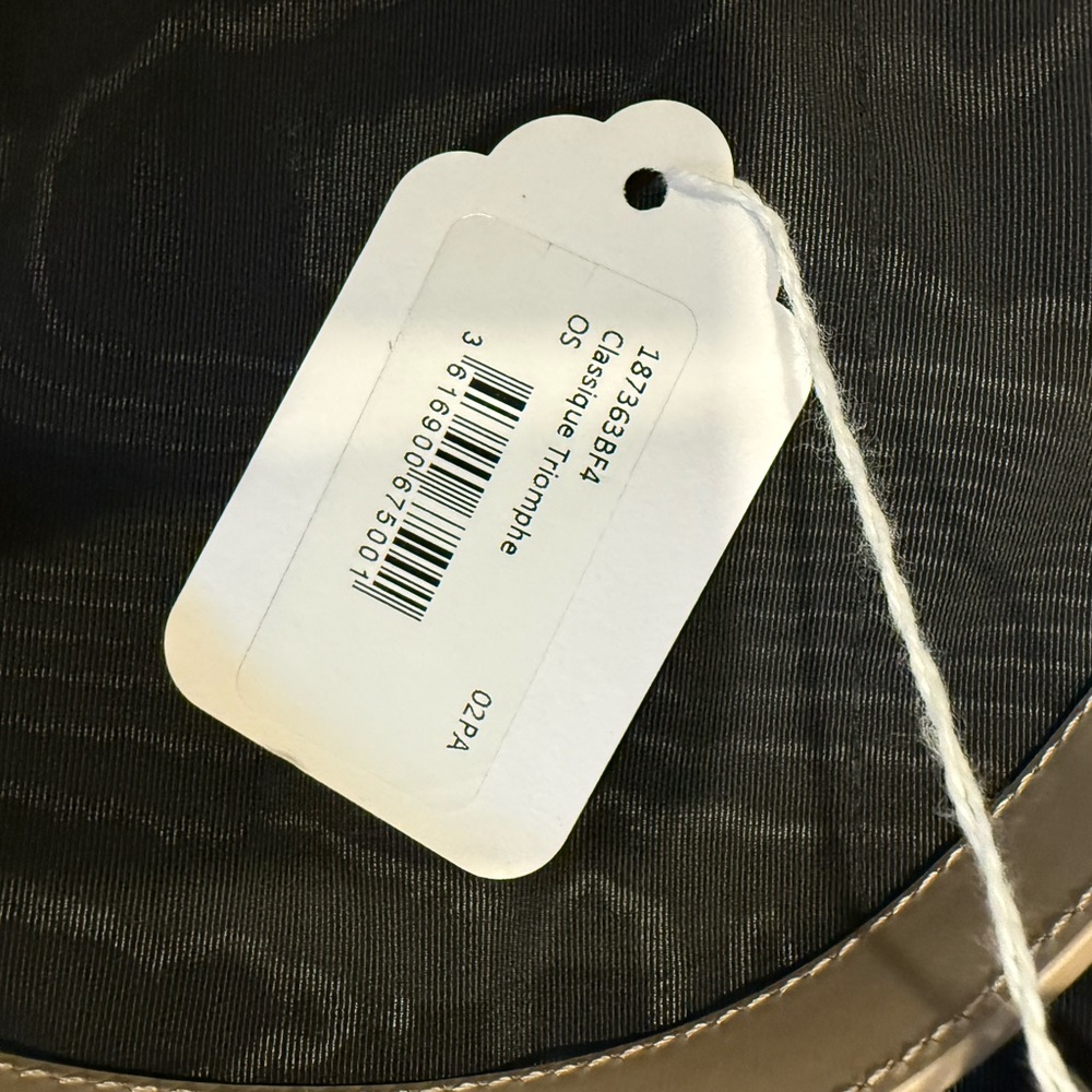 Celine Triomphe Bag in Shiny Calfskin - Picture 4 of 16